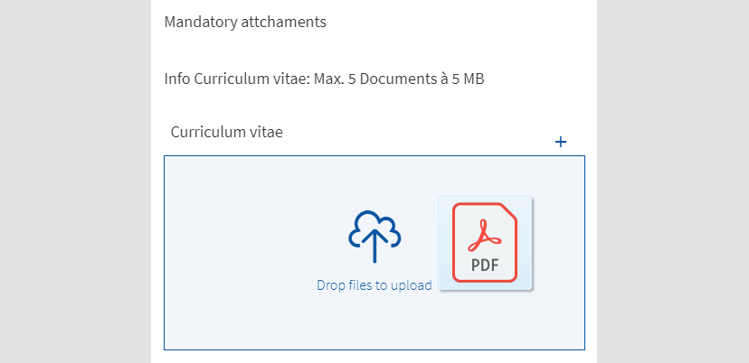 Screenshot of the upload window with PDF file